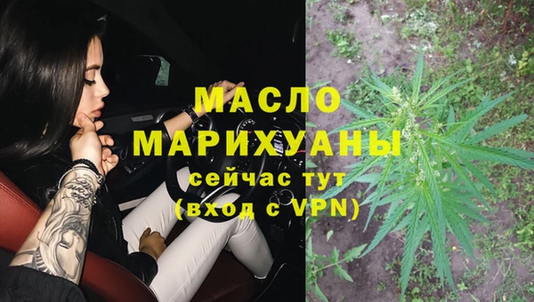 шишки Гусев