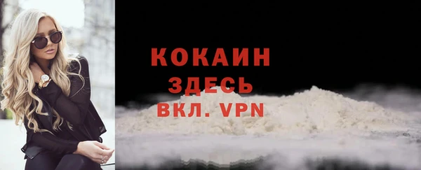 шишки Гусев