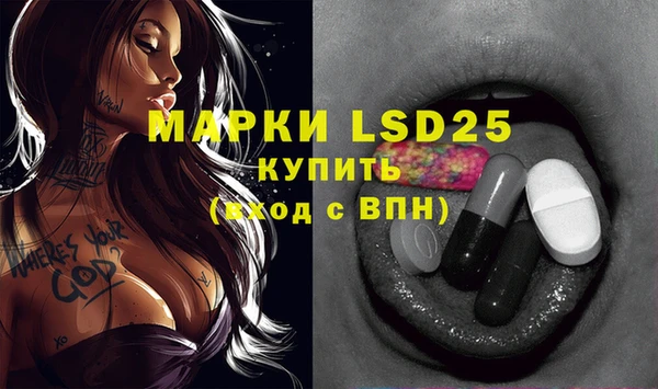 шишки Гусев