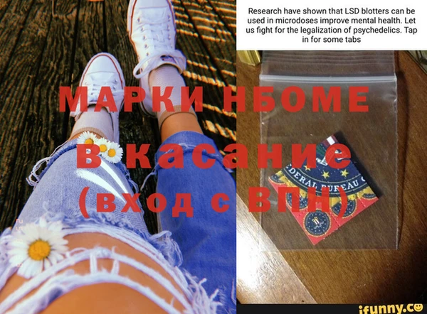шишки Гусев