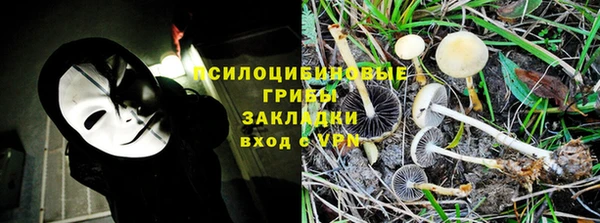 дживик Гусь-Хрустальный