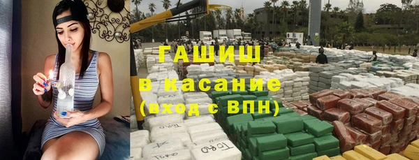 шишки Гусев