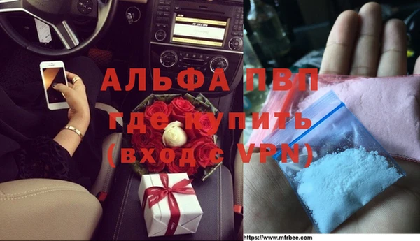 шишки Гусев