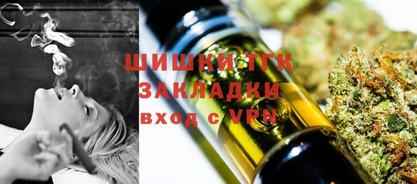 дживик Гусь-Хрустальный