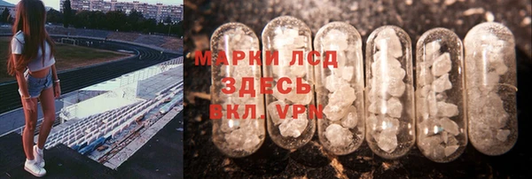 шишки Гусев